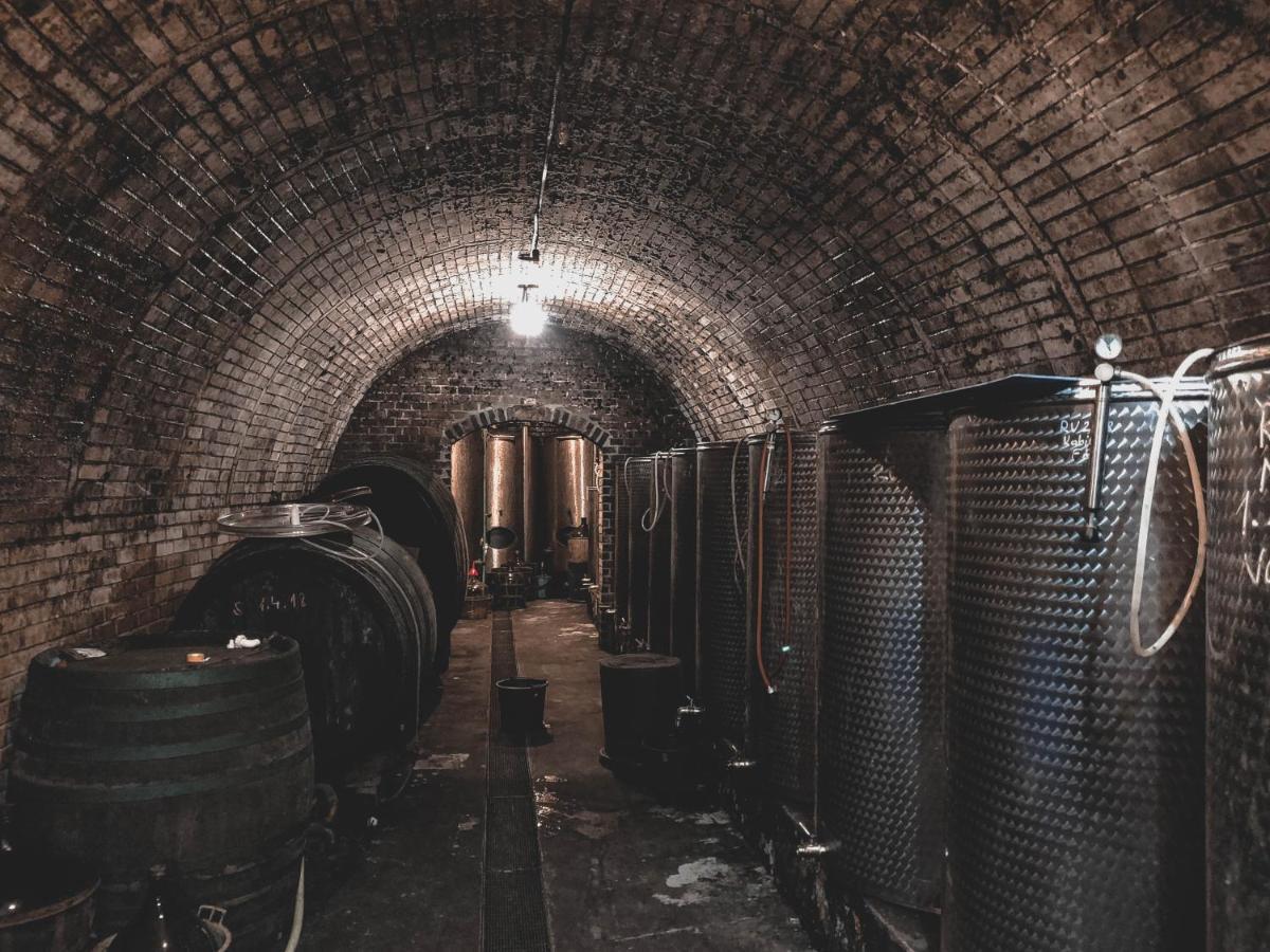 הוילה Vinica Vinox Winery מראה חיצוני תמונה