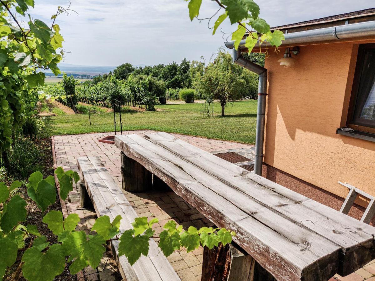 הוילה Vinica Vinox Winery מראה חיצוני תמונה