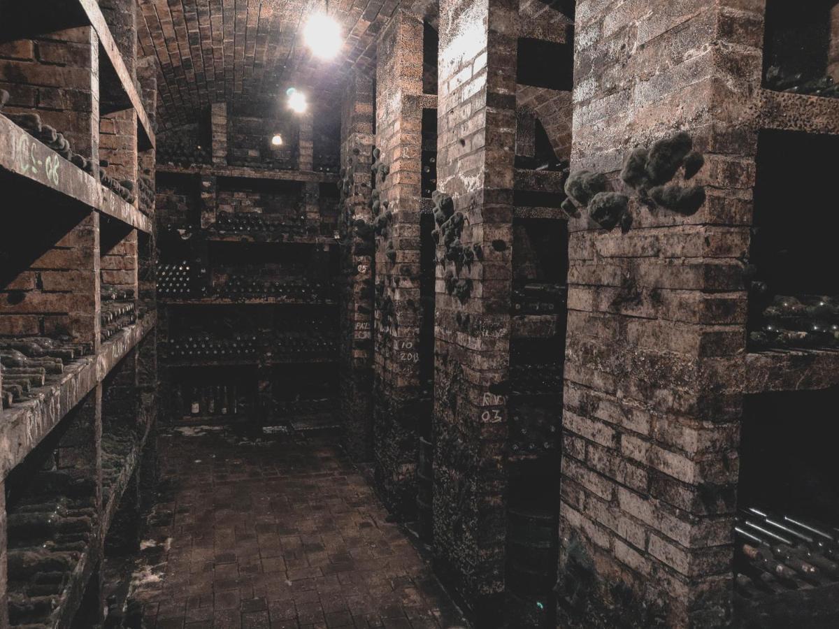 הוילה Vinica Vinox Winery מראה חיצוני תמונה