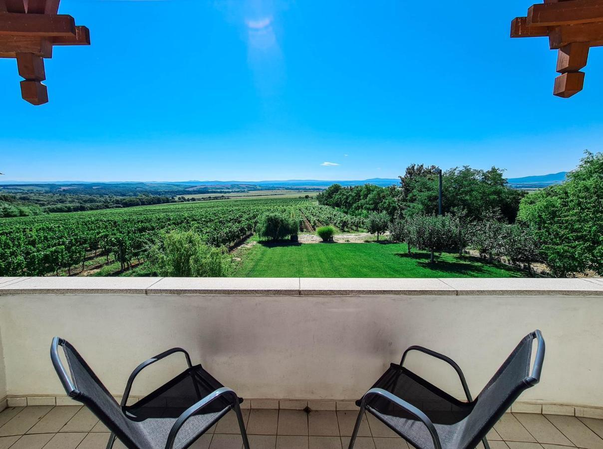 הוילה Vinica Vinox Winery מראה חיצוני תמונה